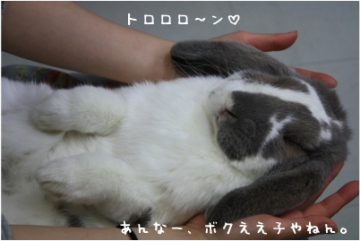 秋冬音楽計画、と、うさだけど猫かぶり_f0196660_22361068.jpg