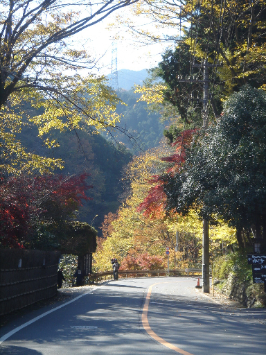 南秋川渓谷へ_e0165361_19484778.jpg