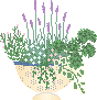 a0141062_12403430.gif