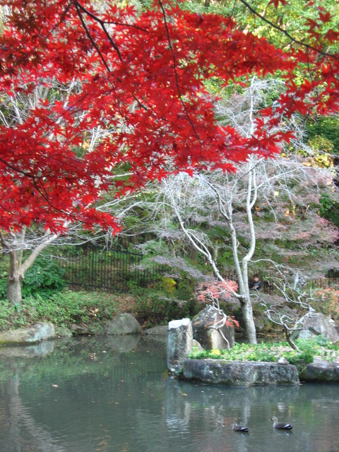 c0145763_21333038.jpg