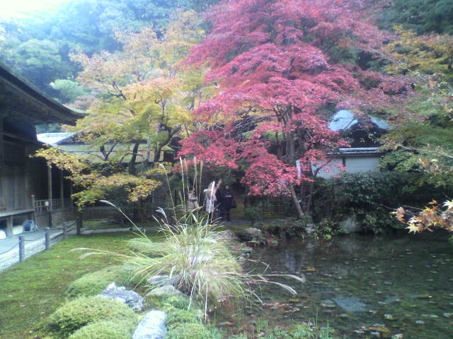 c0018666_12581437.jpg
