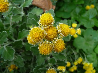 e0046477_1814548.jpg
