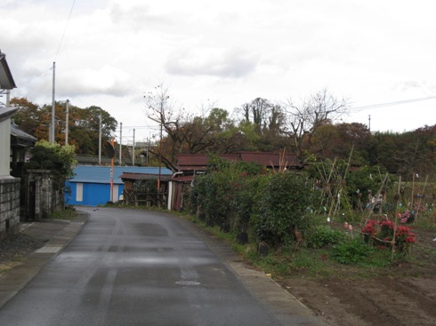 a0087378_5271163.jpg