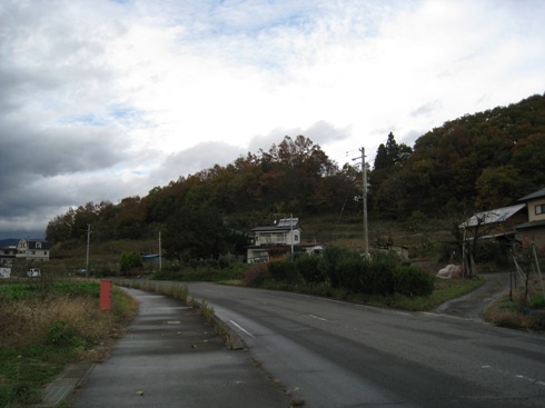a0087378_532197.jpg