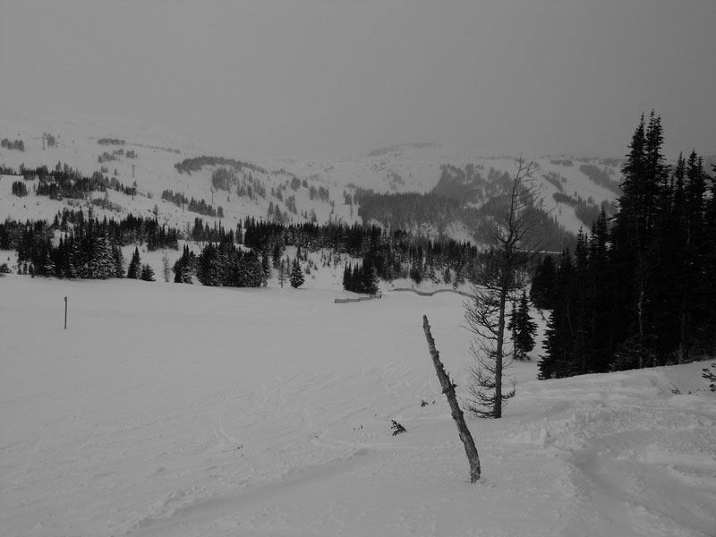 b0110880_3573853.jpg
