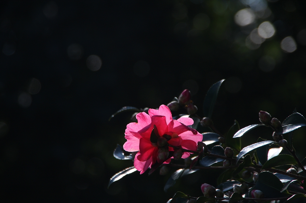 e0024081_16574920.jpg