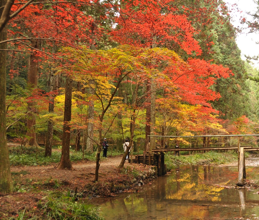 大桐院～小国神社_b0179082_23595689.jpg