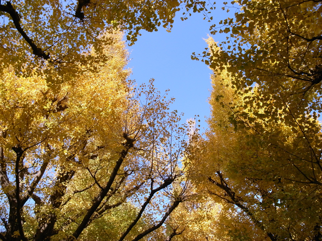 c0188784_1843221.jpg