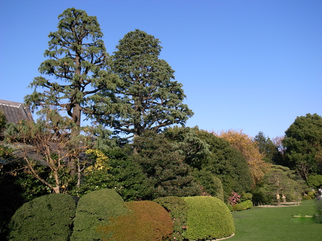 c0188784_1902421.jpg