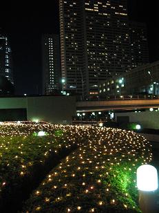 e0130185_05871.jpg