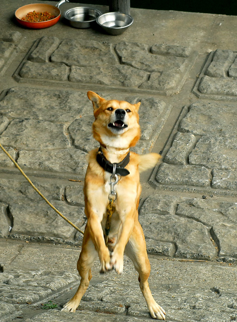 d0085887_22552829.jpg
