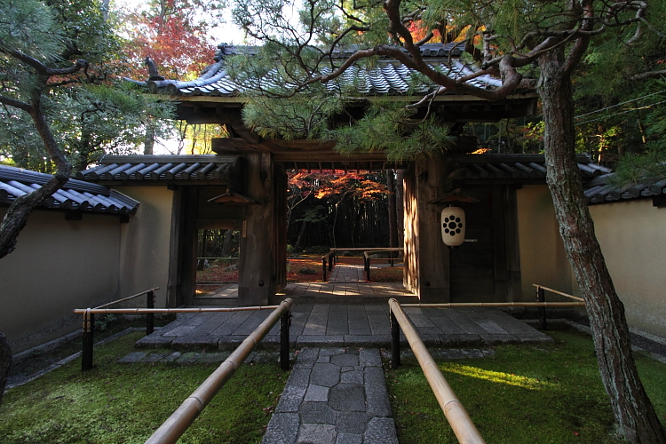 高桐院(大徳寺塔頭)_e0051888_14544830.jpg