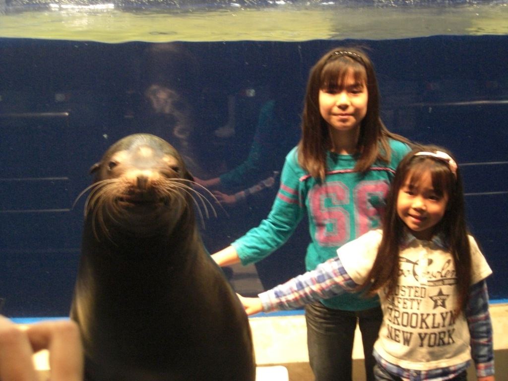 プリンス村の水族館_b0112890_1759401.jpg