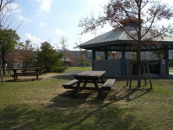 e0185090_20542078.jpg