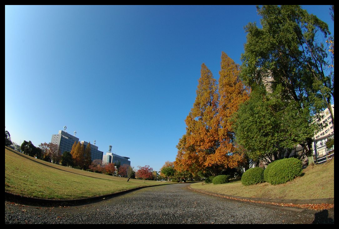 今日の空+α_e0121792_2354723.jpg