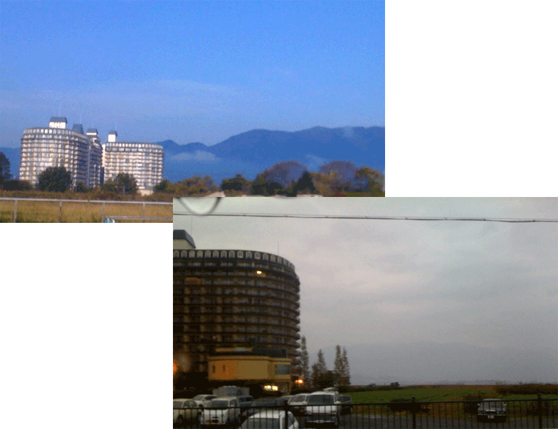 f0001993_17284042.gif