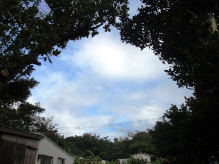昨日の鳩間島　11/22（日）　曇り 時々晴れ間 時々雨_b0165698_124437.jpg