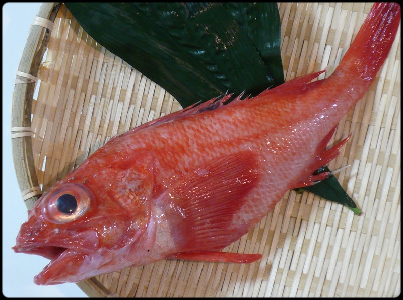今日の魚 キチジ 魚と野菜と私と和ノ香 今日の魚 キチジ 魚と野菜と私と和ノ香