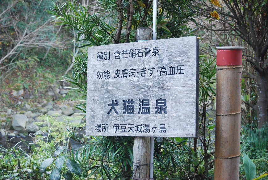やって来ました 秘湯 「犬猫温泉」_f0101201_2222439.jpg