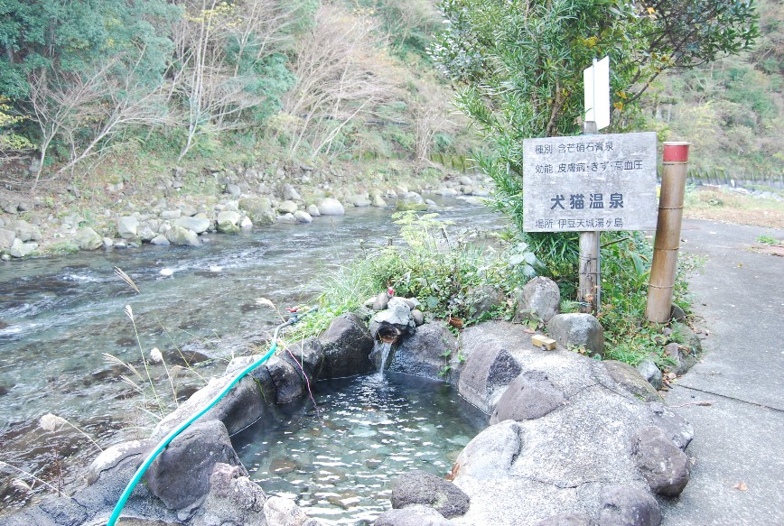 やって来ました 秘湯 「犬猫温泉」_f0101201_22234221.jpg