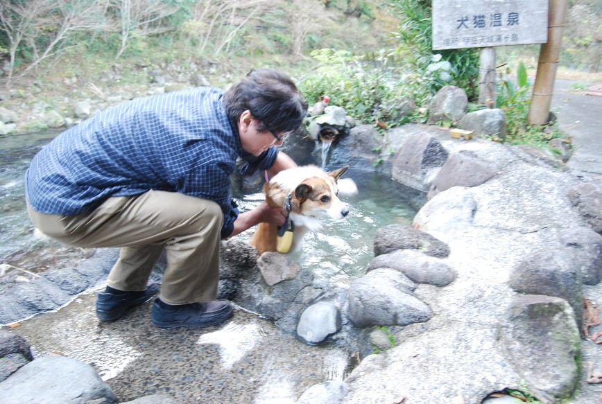 やって来ました 秘湯 「犬猫温泉」_f0101201_22274174.jpg