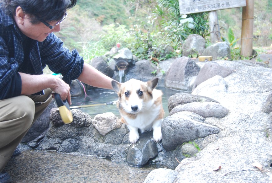 やって来ました 秘湯 「犬猫温泉」_f0101201_22281655.jpg