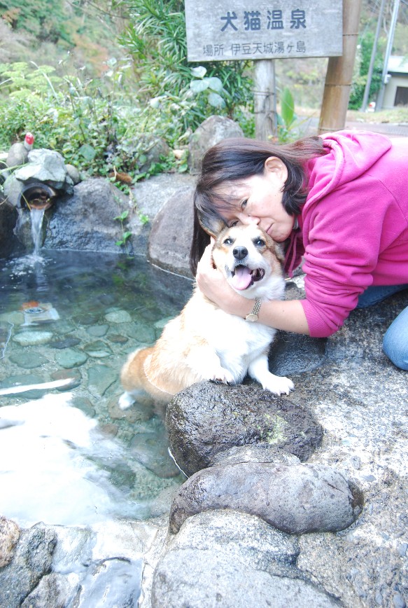 やって来ました 秘湯 「犬猫温泉」_f0101201_22315435.jpg