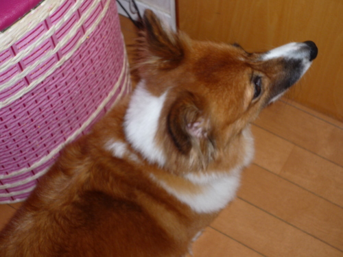 e0011102_22185817.jpg