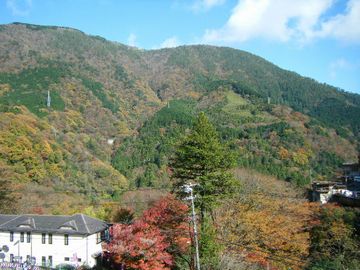 f0120102_11545242.jpg