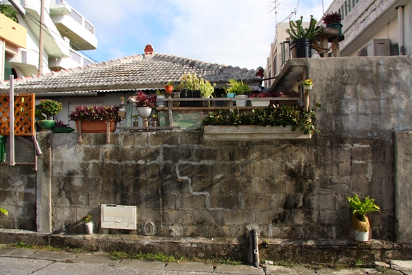d0136804_135950.jpg