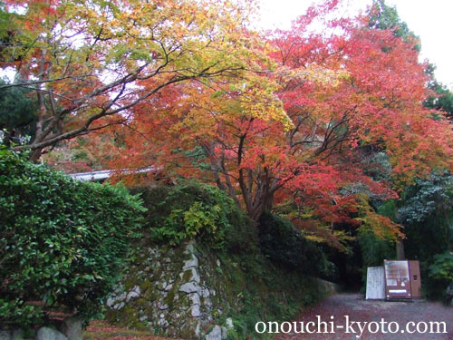 秋の京都_f0184004_2043143.jpg