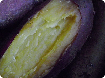 f0203406_8395088.jpg