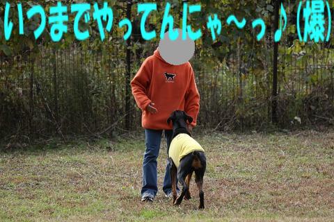 e0100007_21562140.jpg