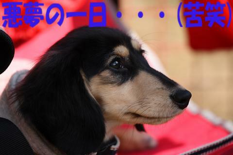 e0100007_2156957.jpg