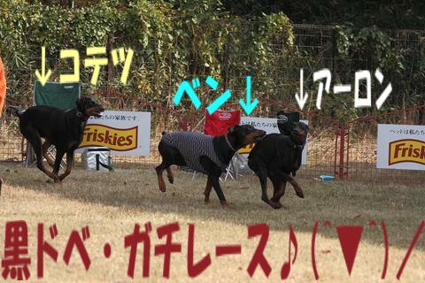e0100007_2157934.jpg