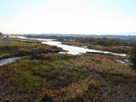 e0123808_003896.jpg