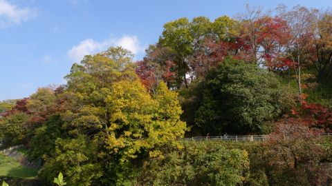 写真部・竜田公園へ〜_b0045109_23575172.jpg