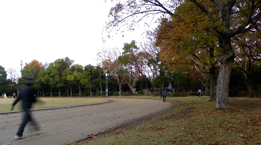 幾久公園【168】　11月24日（火）_c0078410_7552067.jpg