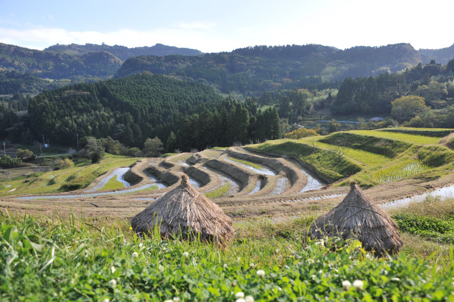 大山千枚棚田_a0094711_21272783.jpg