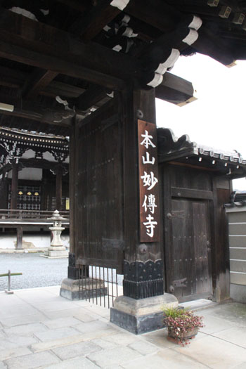 妙傳寺 南座のまねき_e0048413_20421931.jpg