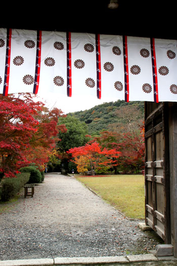 紅葉の盛り　勧修寺（かじゅうじ）_e0048413_2141716.jpg