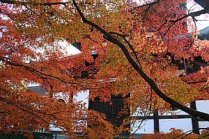 e0110713_2041714.jpg