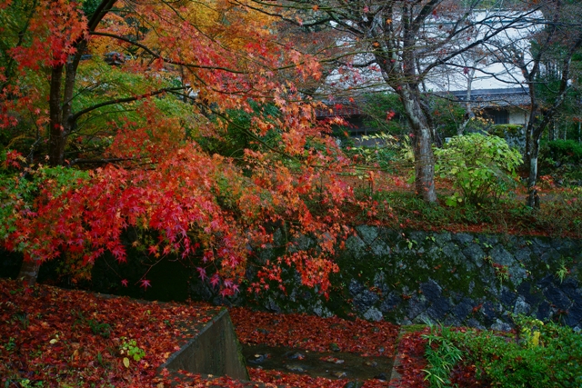 亀岡神蔵寺の紅葉_e0177413_0294586.jpg