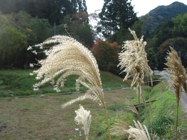 b0093515_738989.jpg
