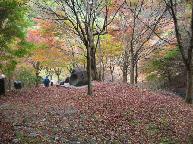 b0093515_7413272.jpg