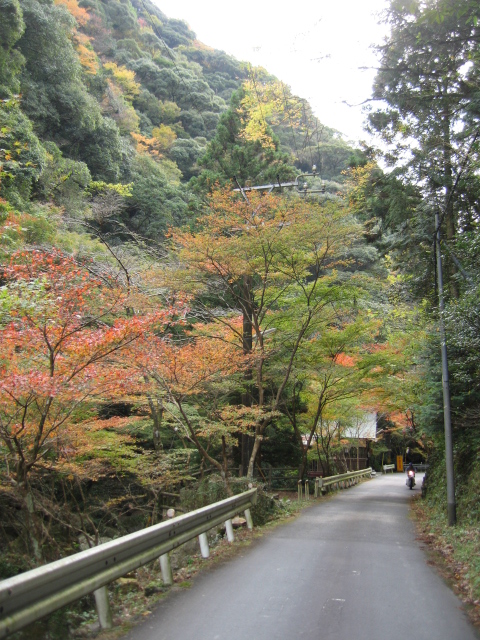 滝の谷の紅葉_b0093515_7434197.jpg