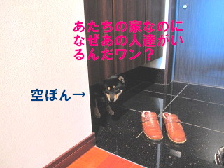 A Little Friend。（ヒロ君がやって来た～！）_c0185516_15123469.jpg