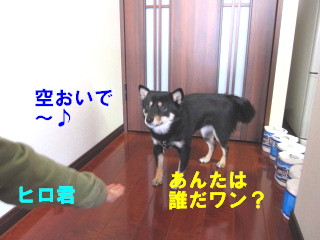 c0185516_15143231.jpg