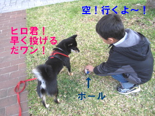 A Little Friend。（ヒロ君がやって来た～！）_c0185516_15285755.jpg