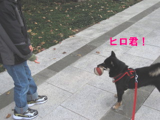 c0185516_15293252.jpg